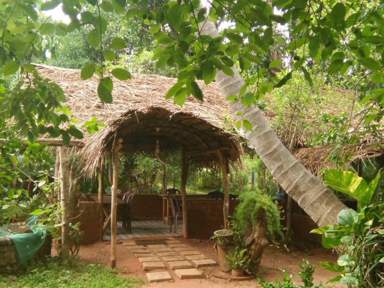 Gimanhala Cottage & Cookary Class Anuradhapura Dış mekan fotoğraf